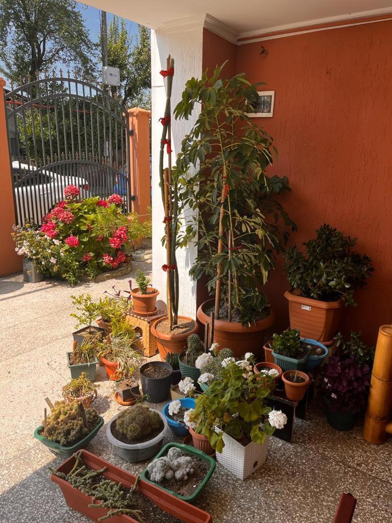 Guest House Chexovi 24 Kobuleti Bagian luar foto