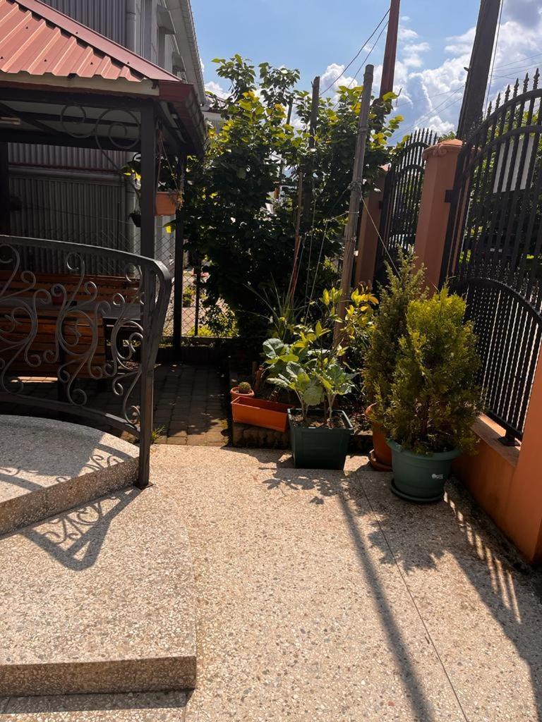 Guest House Chexovi 24 Kobuleti Bagian luar foto