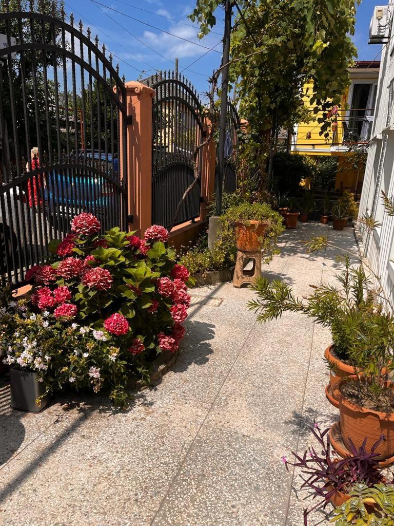 Guest House Chexovi 24 Kobuleti Bagian luar foto